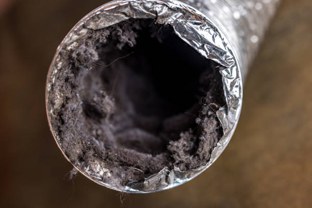 Best Emergency Air Duct Cleaning  in Soda Springs, ID